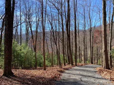 Tbd Big Pine Road, Marshall, NC 28753 photo 16