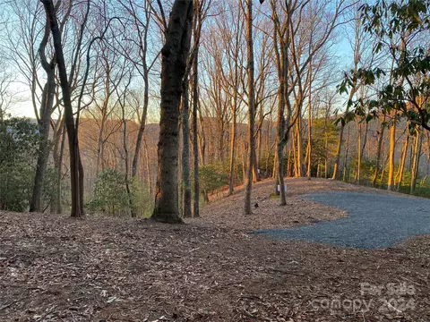 Tbd Big Pine Road, Marshall, NC 28753 photo 2