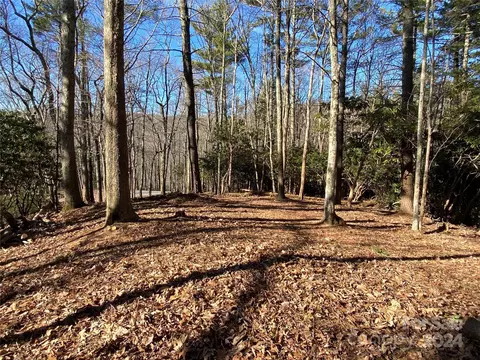 Tbd Big Pine Road, Marshall, NC 28753 photo 5