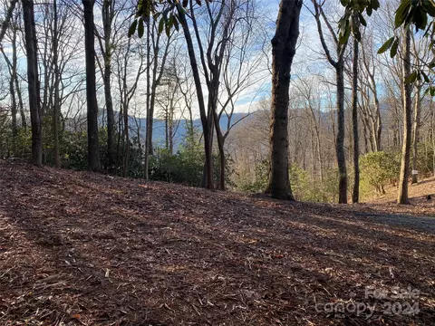 Tbd Big Pine Road, Marshall, NC 28753 photo 4