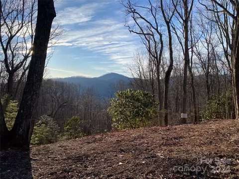 Tbd Big Pine Road, Marshall, NC 28753 photo 8