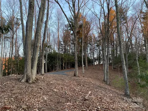 Tbd Big Pine Road, Marshall, NC 28753 photo 3