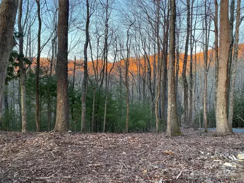 Tbd Big Pine Road, Marshall, NC 28753 photo 10