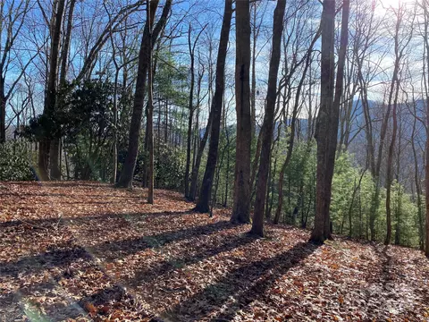 Tbd Big Pine Road, Marshall, NC 28753 photo 7