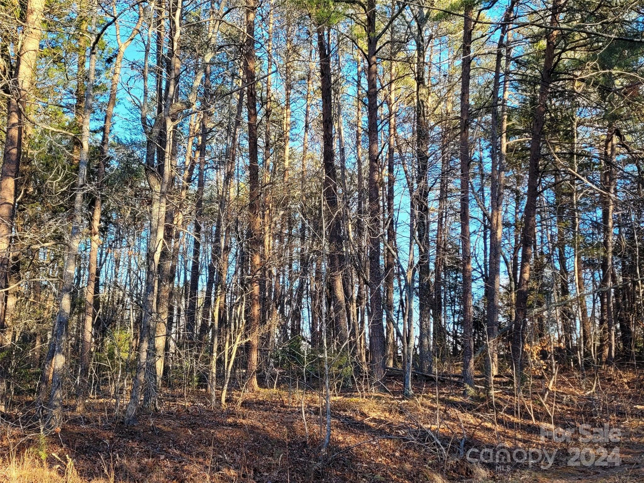 0 Washburn 1402447 Ln Unit 1402447  