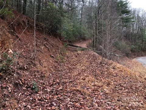 Deer 230 Run #230, Purlear, NC 28665 photo 3