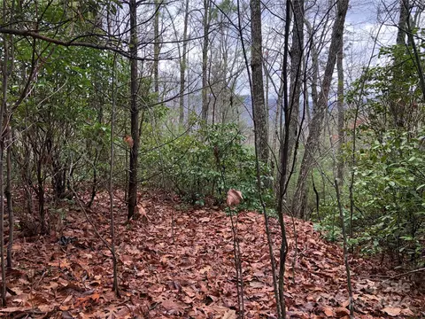 Deer 230 Run #230, Purlear, NC 28665 photo 4
