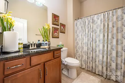 Bath - 78030 Rillstone Dr, Lancaster, SC 29720 photo 3 of 3