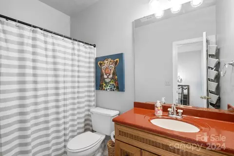 Bath - 528 Ashby Dr, Davidson, NC 28036 photo 4 of 4