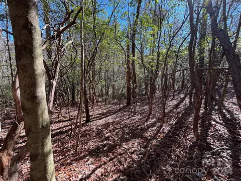36 Ugugu Drive #36/24, Brevard, NC 28712