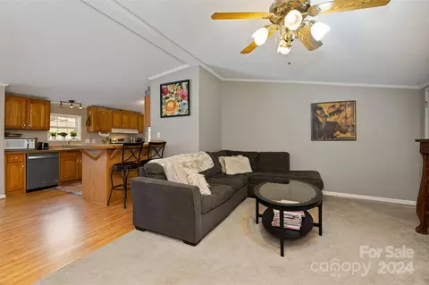Living - 241 Beech Tree Rd, Whittier, NC 28789 photo 4 of 7