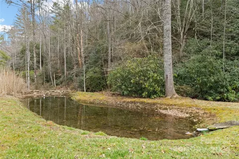 Other - 241 Beech Tree Rd, Whittier, NC 28789 photo 1 of 5