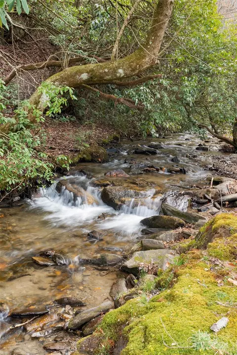 View/Area - 241 Beech Tree Rd, Whittier, NC 28789 photo 1 of 2