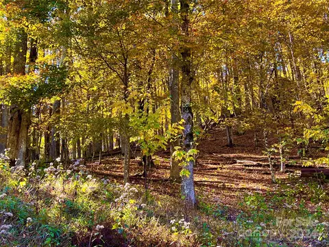 000 Flame Azalea 93 Ln #93, Mars Hill, NC 28754