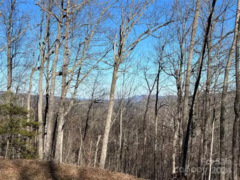 242 Black Bear Ridge Trl, Zirconia, NC 28790