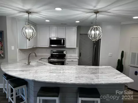 Kitchen - 18567 Vineyard Point Ln, Cornelius, NC 28031 photo 8 of 9