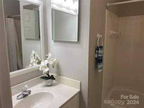 Bath - 18567 Vineyard Point Ln, Cornelius, NC 28031 photo 6 of 6