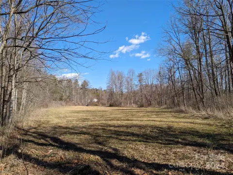 Bat Cave Road, Old Fort, NC 28762