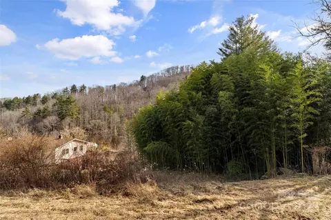 Exterior - 10999 Rush Fork Rd, Clyde, NC 28721 photo 6 of 6