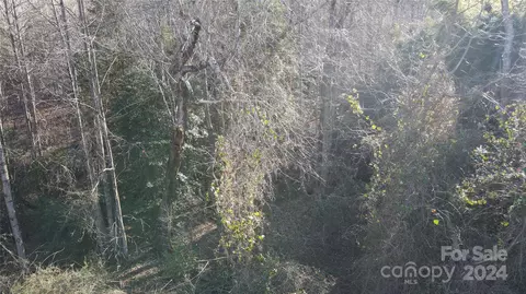 7334 Mcduffy Rd, Connelly Springs, NC 28612
