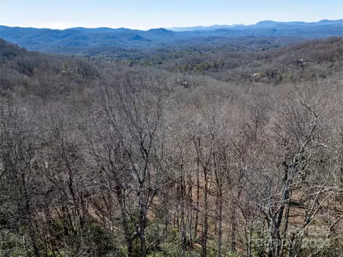 Connestee L31/u01 Trail #L31/U01, Brevard, NC 28712