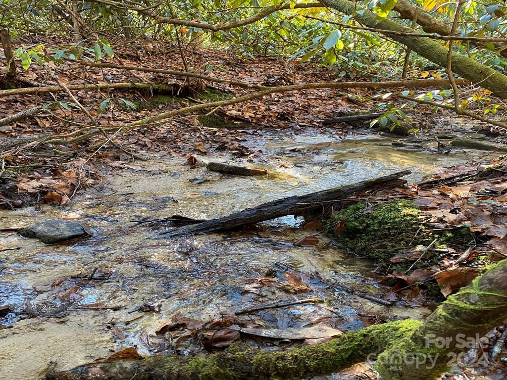 L41 Abby Falls L41 Rd Unit L41