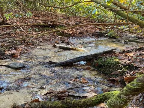 L41 Abby Falls Road #L41, Rosman, NC 28772
