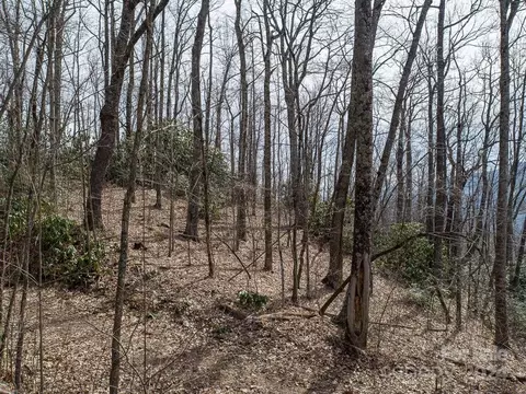 Nesbitt Chapel Road, Fairview, NC 28730 photo 10