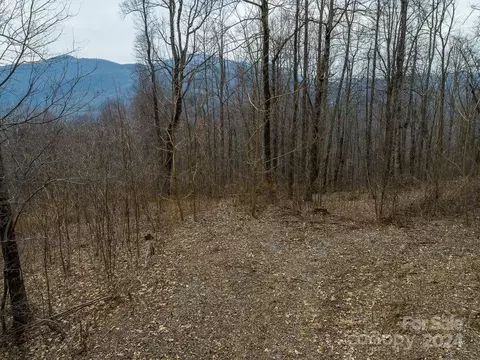 Nesbitt Chapel Road, Fairview, NC 28730 photo 4