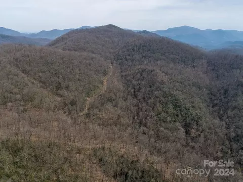 Nesbitt Chapel Road, Fairview, NC 28730 photo 16