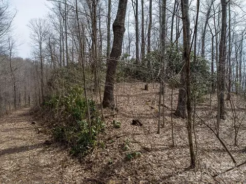 Nesbitt Chapel Road, Fairview, NC 28730 photo 9
