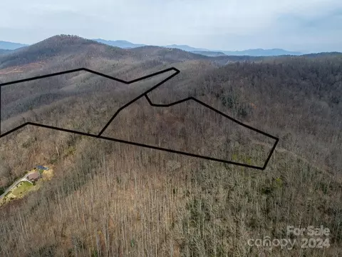 Nesbitt Chapel Road, Fairview, NC 28730 photo 2