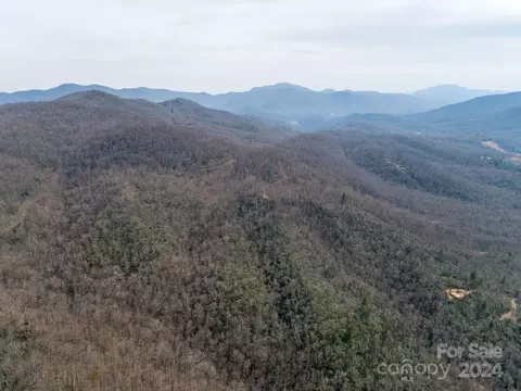 Nesbitt Chapel Road, Fairview, NC 28730 photo 15