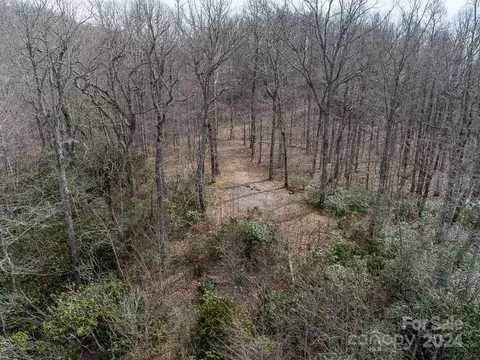 Nesbitt Chapel Road, Fairview, NC 28730 photo 14