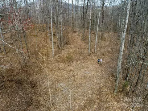 Nesbitt Chapel Road, Fairview, NC 28730 photo 6