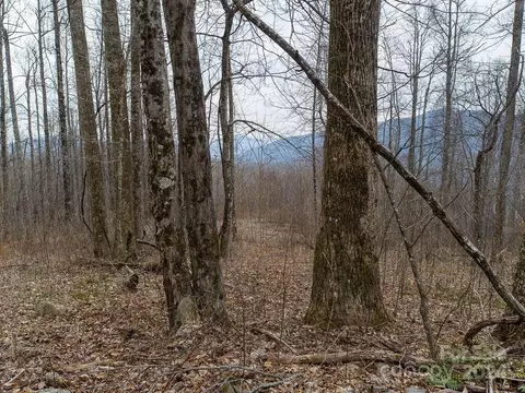 Nesbitt Chapel Road, Fairview, NC 28730 photo 18