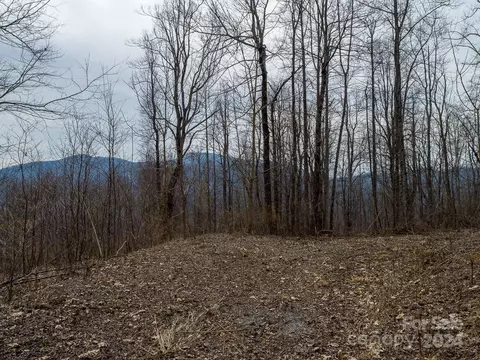 Nesbitt Chapel Road, Fairview, NC 28730 photo 3