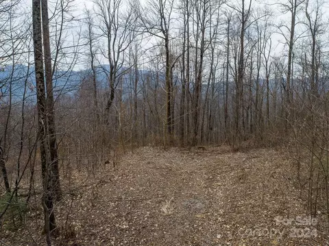 Nesbitt Chapel Road, Fairview, NC 28730 photo 5