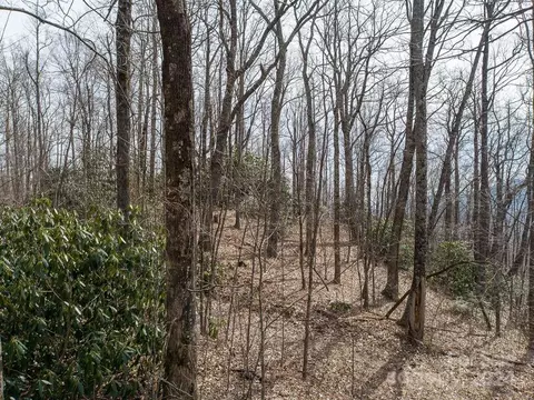 Nesbitt Chapel Road, Fairview, NC 28730 photo 11