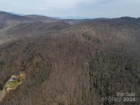 Nesbitt Chapel Road, Fairview, NC 28730 photo 8