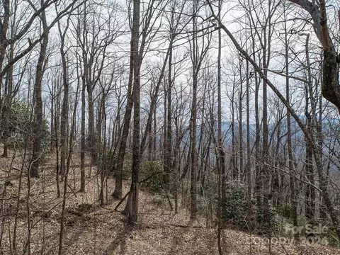 Nesbitt Chapel Road, Fairview, NC 28730 photo 12