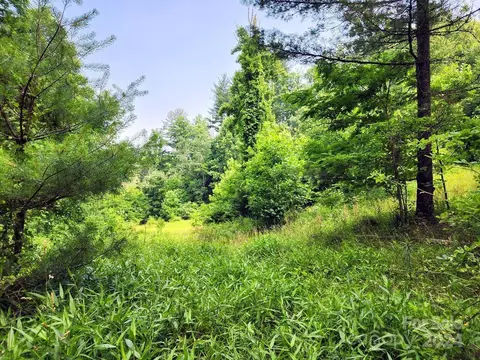000 Hickory Nut Ridge 10 Rd #10, Burnsville, NC 28714
