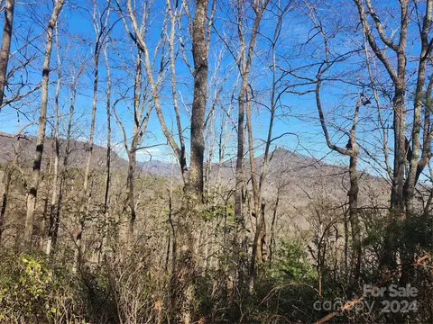 Bolt Road, Lake Lure, NC 28746