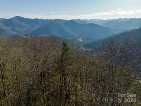 Almanac Lane, Tuckasegee, NC 28783
