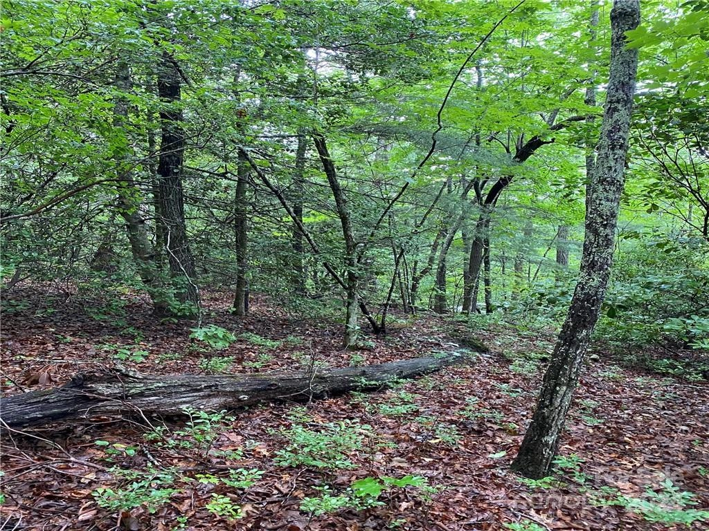 12 Dogwood Cir Unit B  