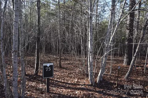 Tayberry Drive, Nebo, NC 28761