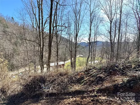 00 Will Arrington Rd, Marshall, NC 28753 photo 14