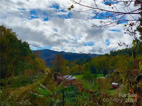 00 Will Arrington Rd, Marshall, NC 28753