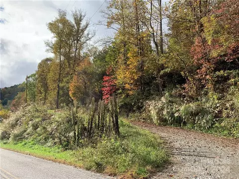 00 Will Arrington Rd, Marshall, NC 28753 photo 4
