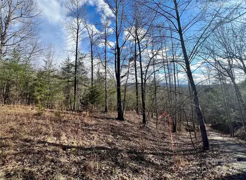 North Coast 17-6 Drive #17-6, Mill Spring, NC 28756